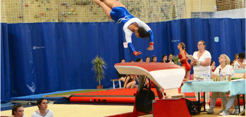 Gymnastique Féminine Dauphiné-Savoie-Vivarais